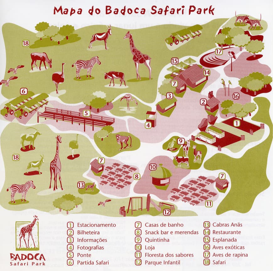 Lugar Badoca Safari Park