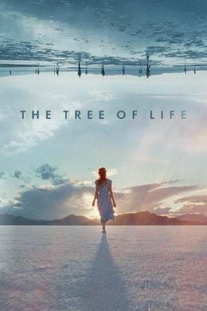 Película The Tree of Life