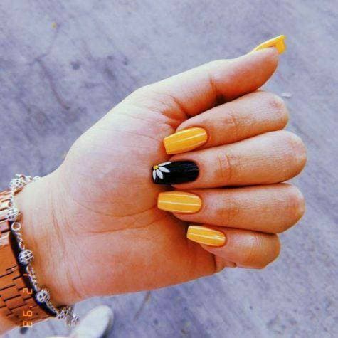 Fashion Unhas ✨