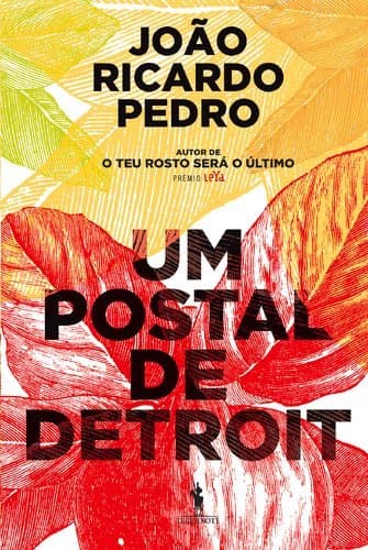 Libro Um Postal De Detroit