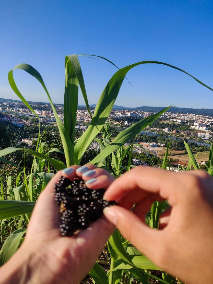 Place Miradouro do Vale do Inferno