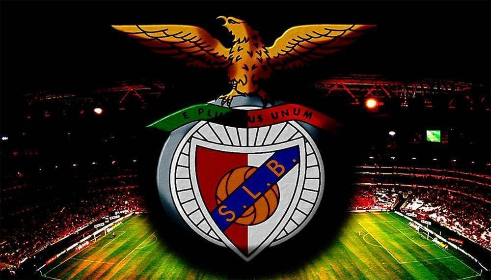 Fashion S.L.Benfica 🦅 🔴⚪ 1904'