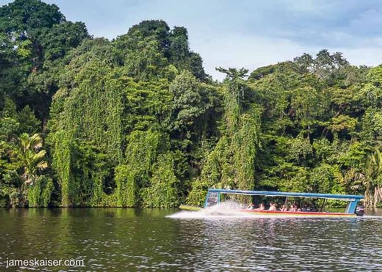 Place Tortuguero National Park