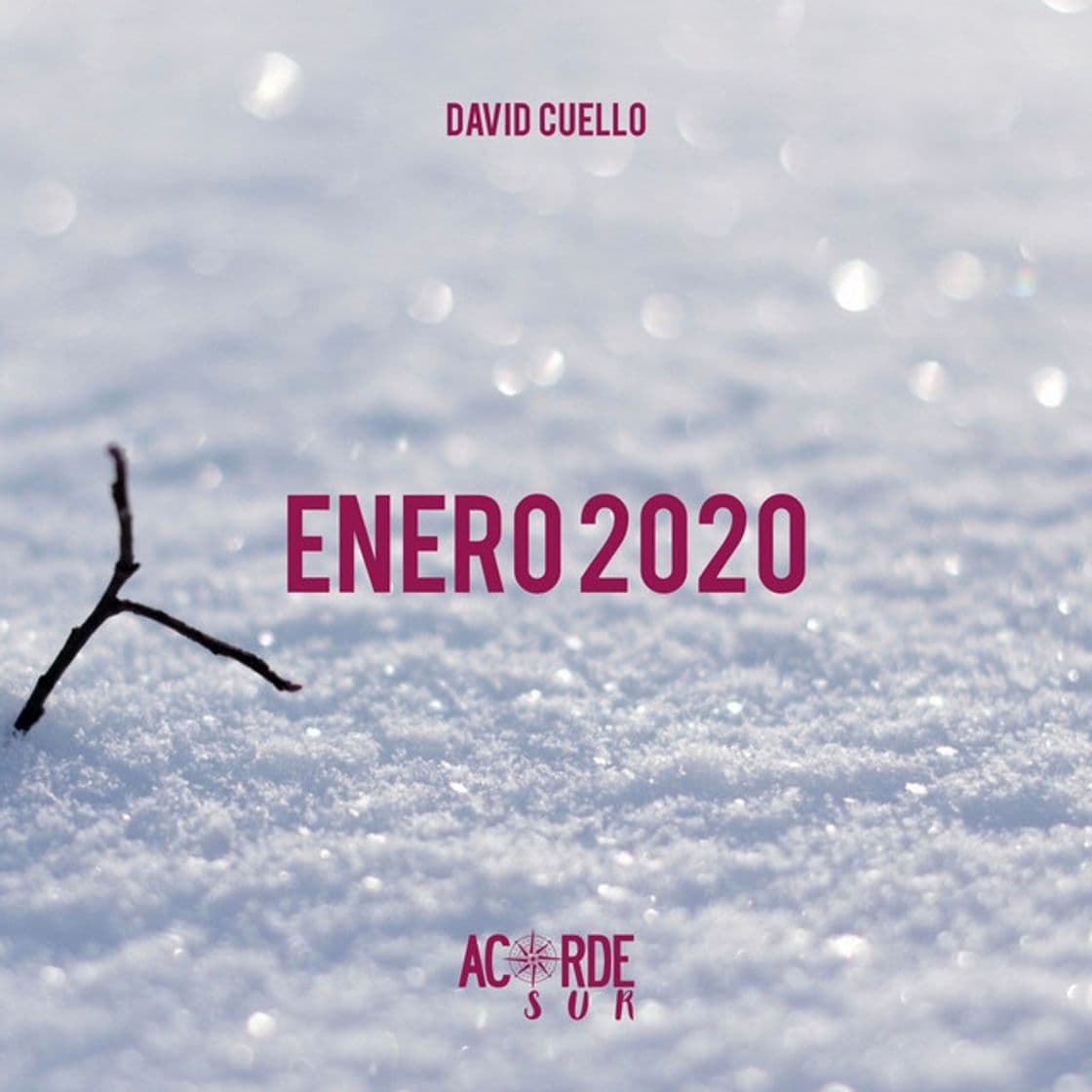 Canción Enero 2020