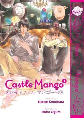 Libro Castle Mango 