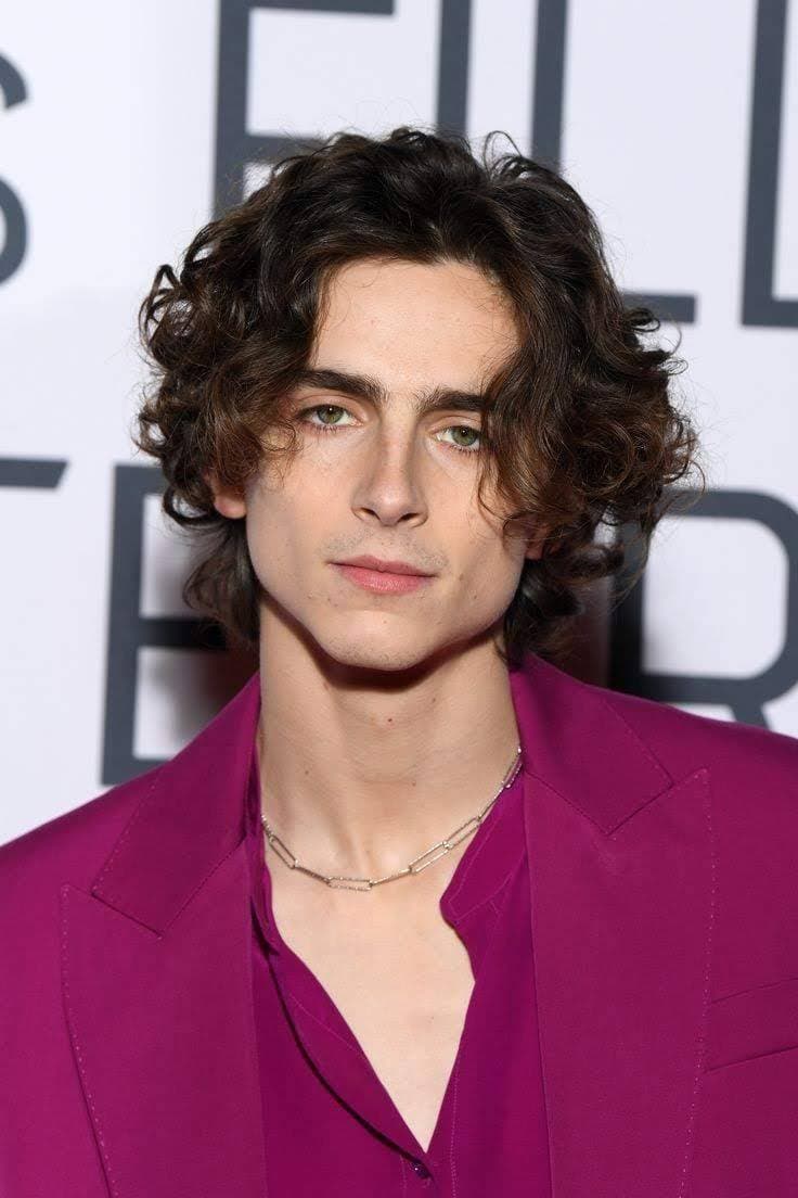 Moda Timothée Chalamet - Wikipedia