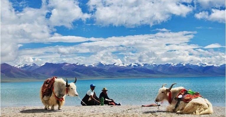 Place Namtso Lake Maoniu Suannai Store