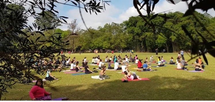 Place Parque Ibirapuera