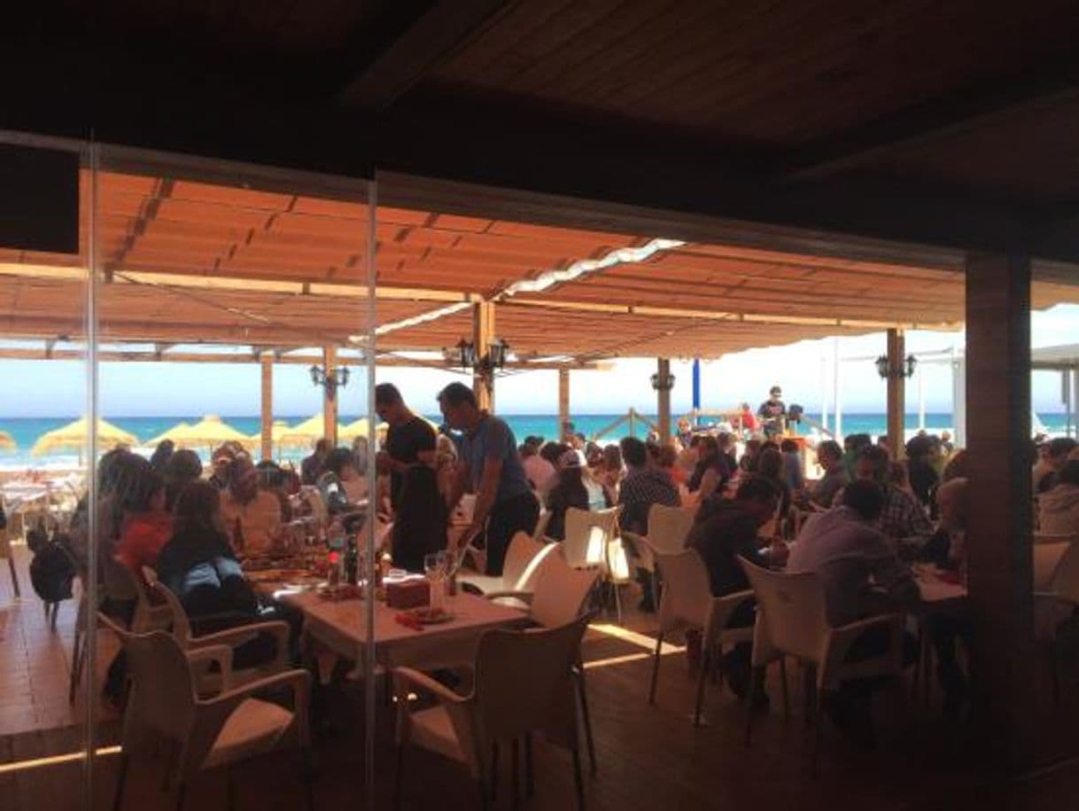 Restaurants Bonobo Playa