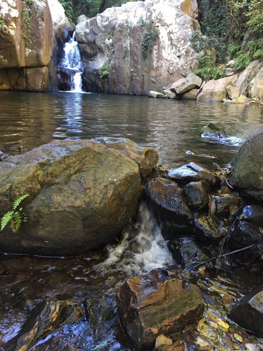 Lugar Sendero Rio De La Miel