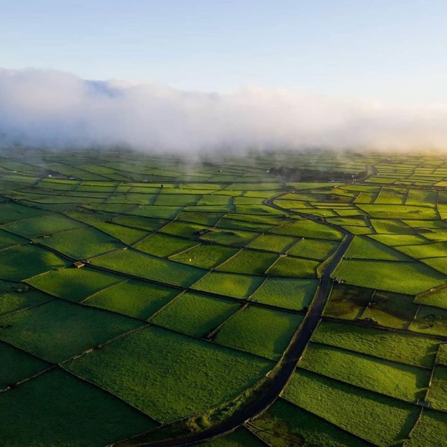 Lugar Terceira