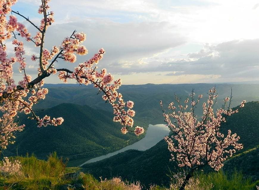 Lugar Vila Nova de Foz Côa