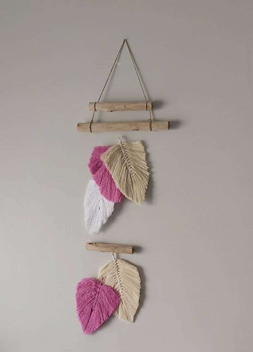 Fashion Wall hanger 