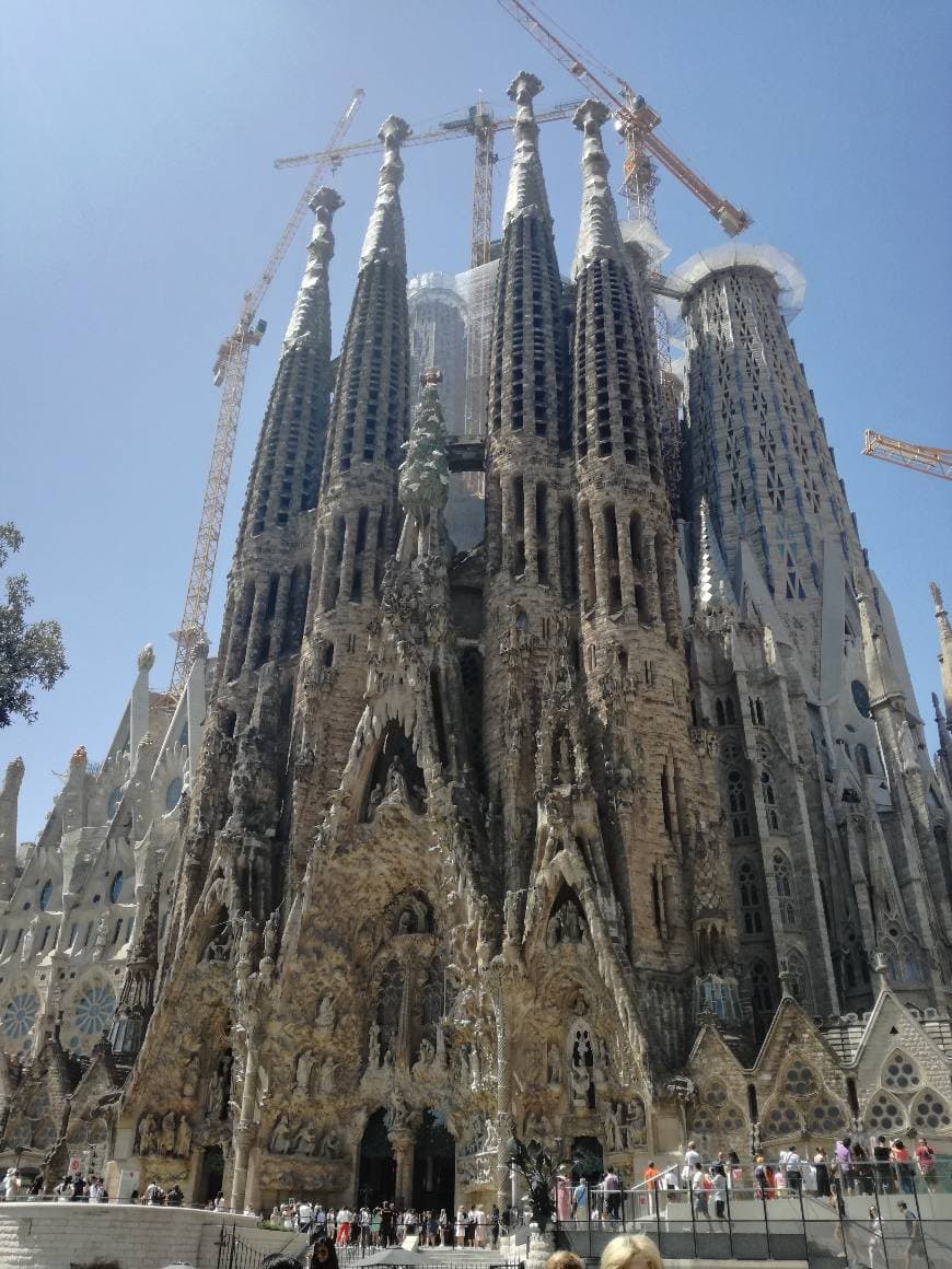 Lugar Basílica Sagrada Familia