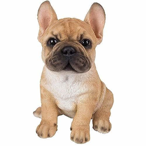 Producto Vivid Arts Pet Pals Golden French Bulldog Puppy