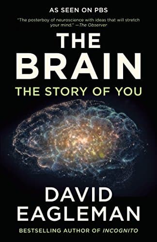 Libro The Brain