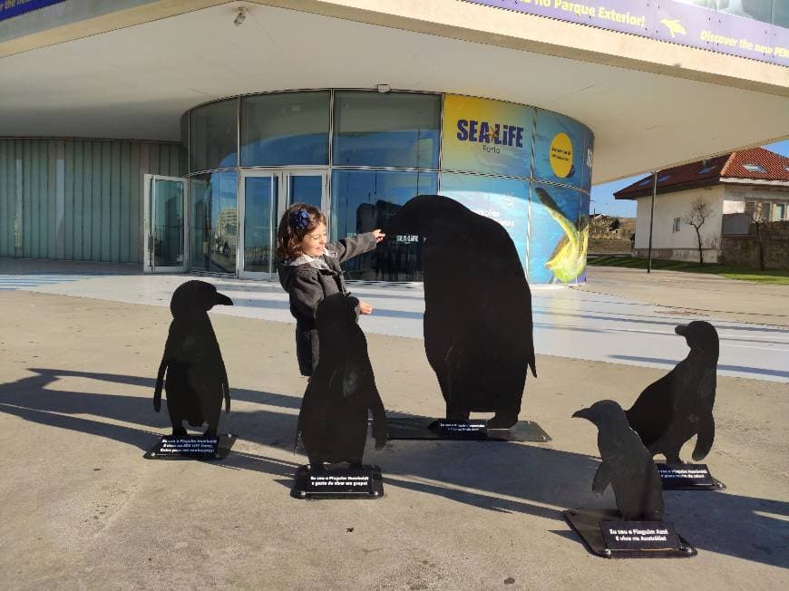 Place SEA LIFE Porto