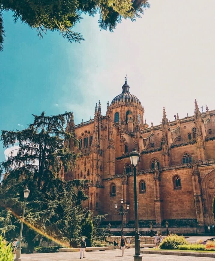 Lugar Catedral de Salamanca