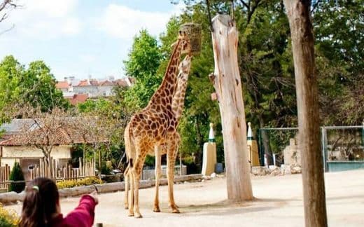 Lugar Jardim Zoológico de Lisboa 