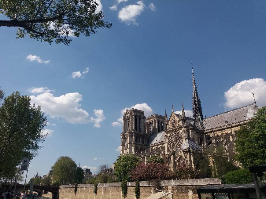 Lugar Catedral de Notre Dame