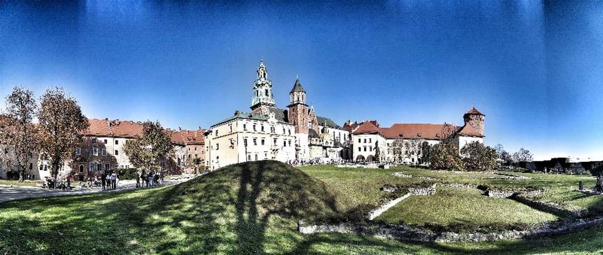 Place Castillo de Wawel