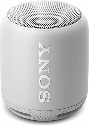 Electronic Sony SRS-XB10W - Altavoz inalámbrico portátil