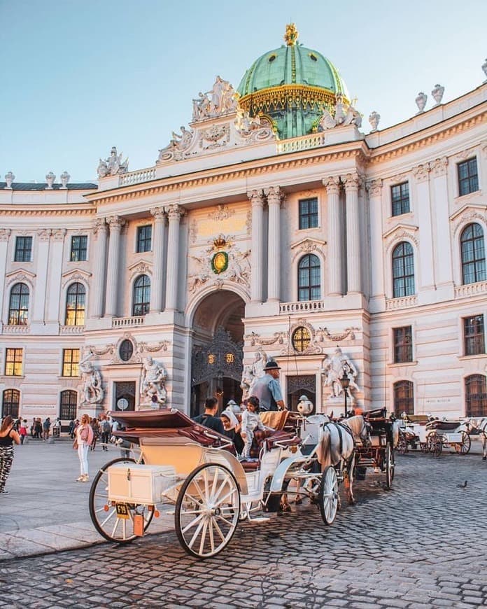 Place Hofburg Palace