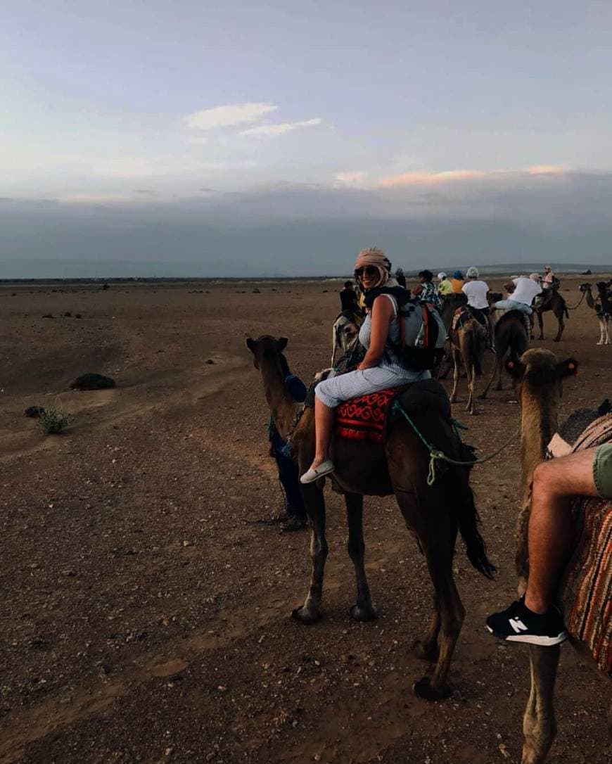 Place Zagora Desert Camp