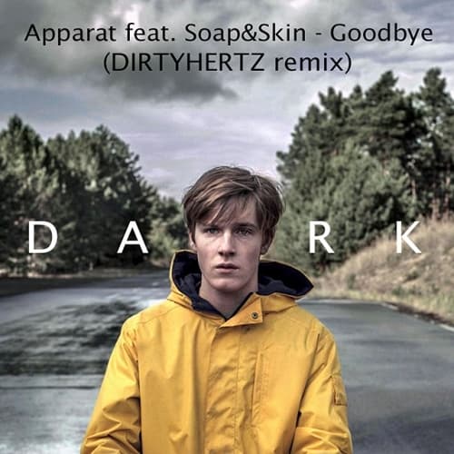 Canción Goodbye (with Soap & Skin)