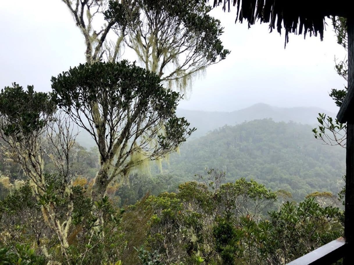 Place Andasibe-Mantadia National Park