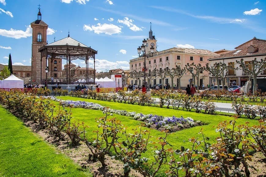 Lugar Alcala De Henares