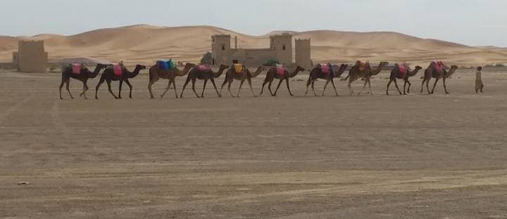 Lugar MARRUECOS DUNAS MERZOUGA