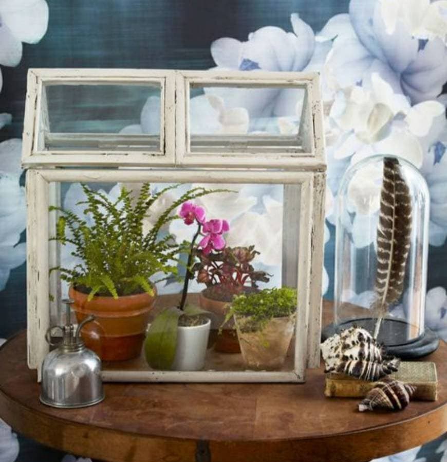 Product DIY terrario