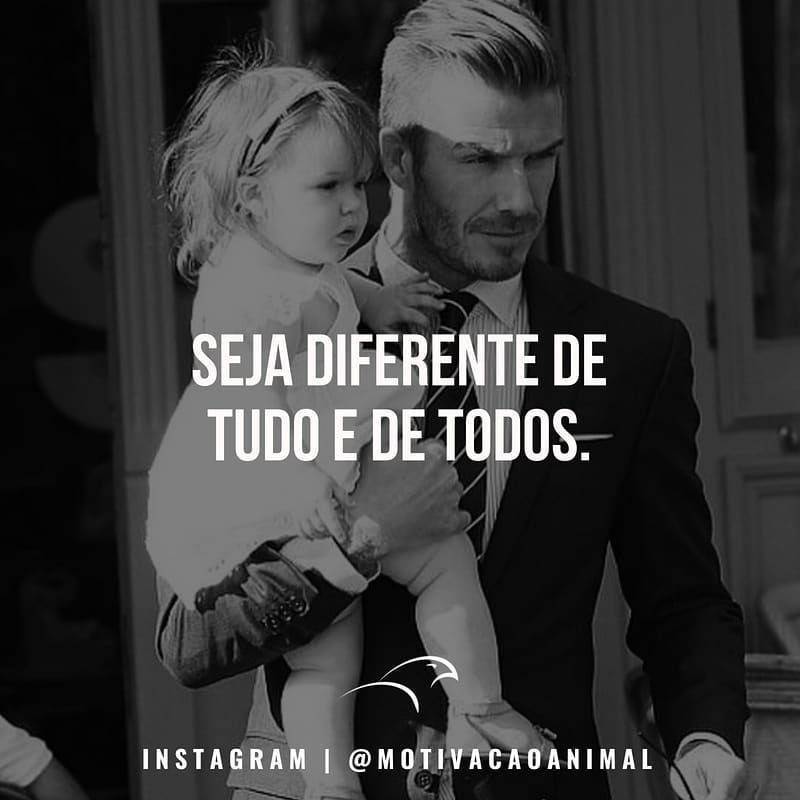 Fashion Frases