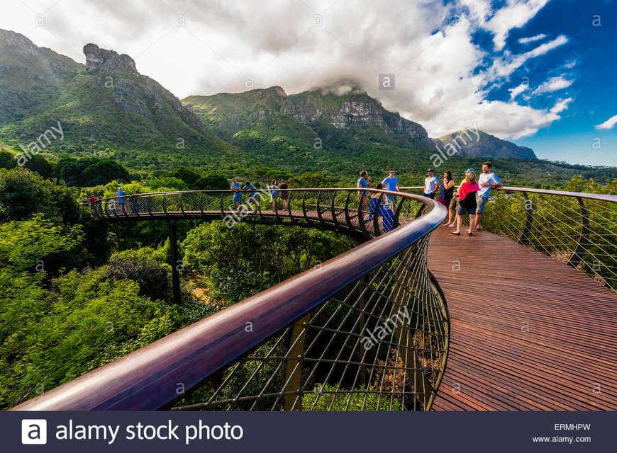 Place Kirstenbosch National Botanical Garden