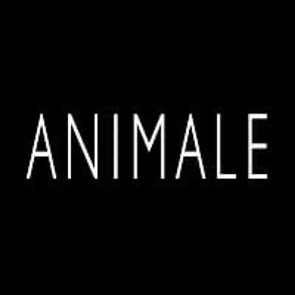 Moda ANIMALE | Inspire-se com a Coleção Mulheres 