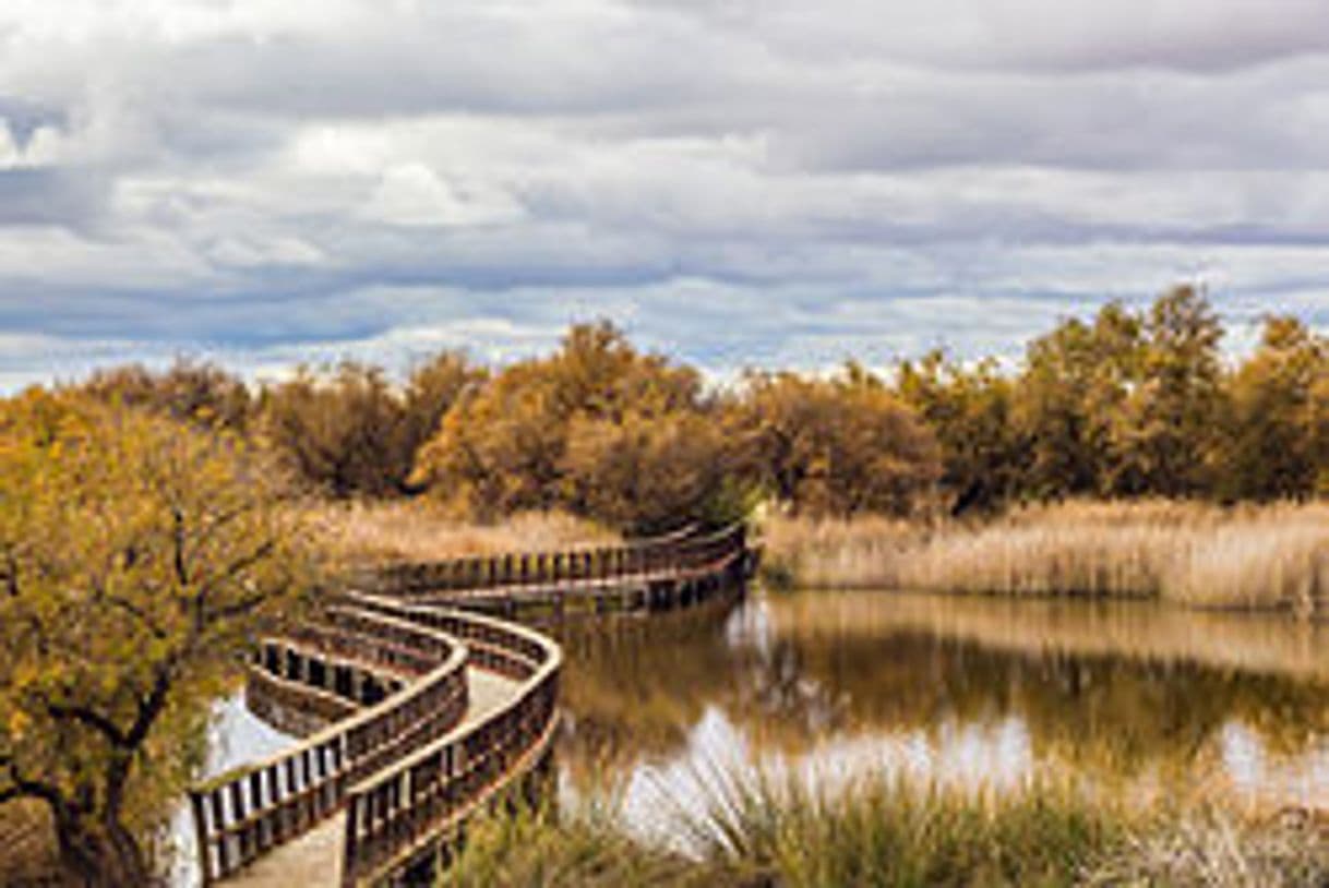 Lugar Tablas de Daimiel