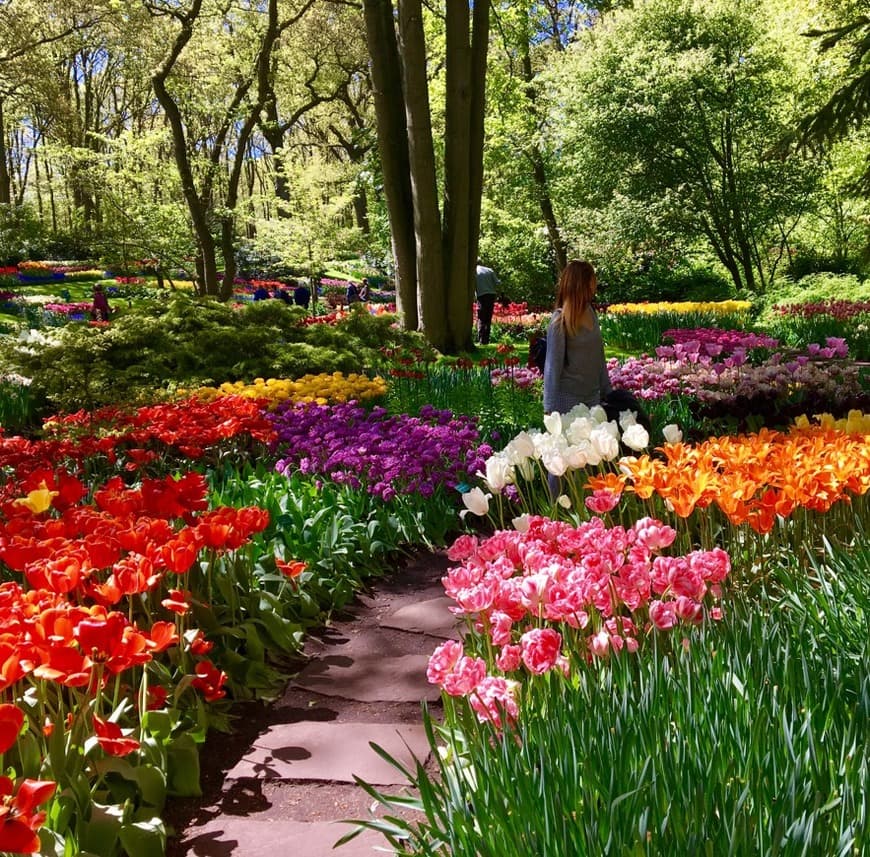 Lugar Keukenhof