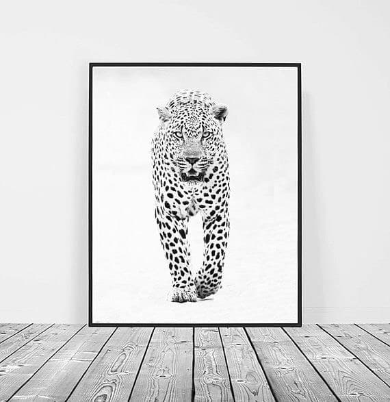 Fashion Foto leopardo