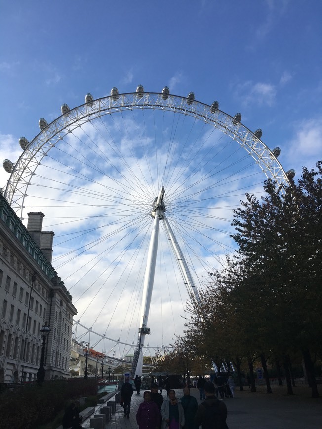 Place London Eye