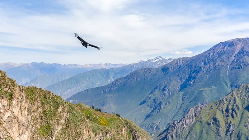 Place Cañón del Colca