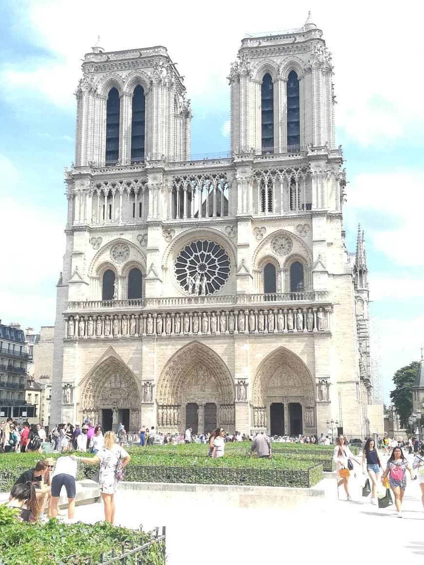 Lugar Catedral de Notre Dame