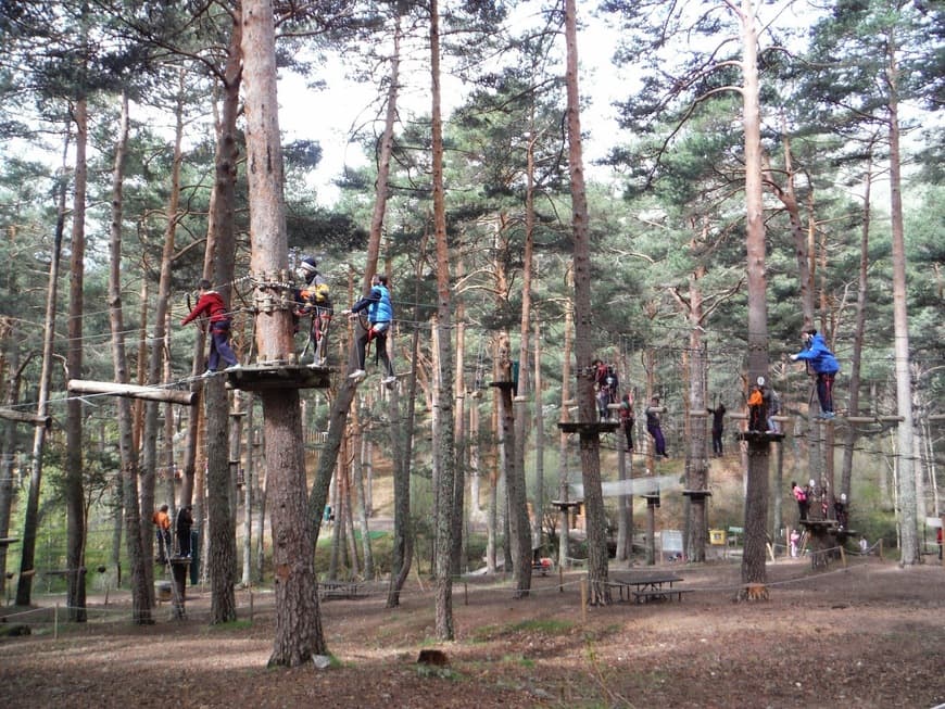 Lugar Aventura Amazonia - Parque multiaventura. Tirolinas. Actividades niños, despedidas, colegios