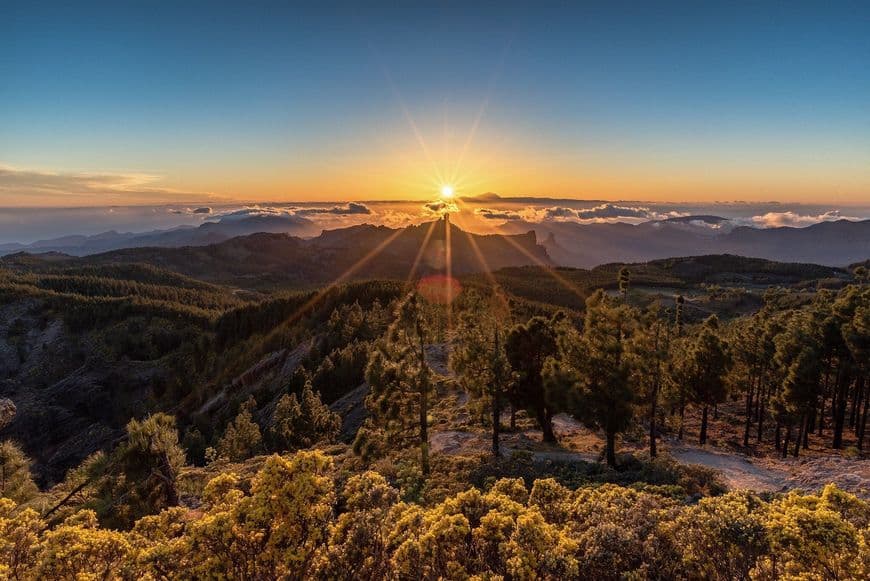 Place Pico de las Nieves