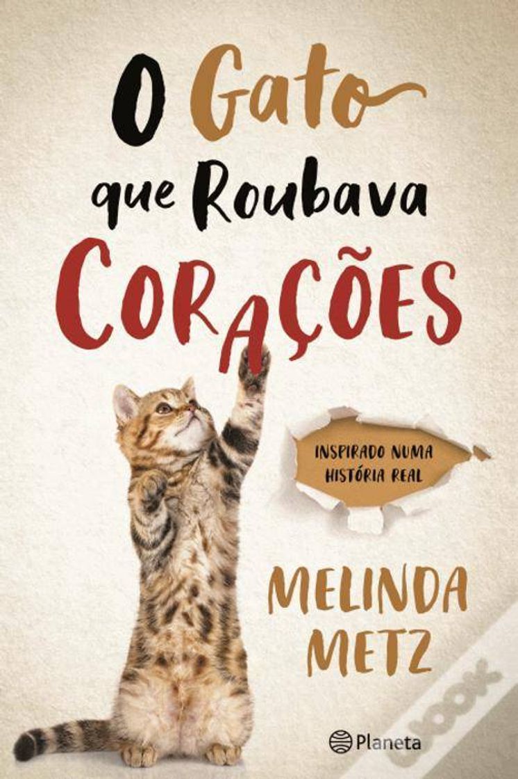 Libro O gato que roubava corações