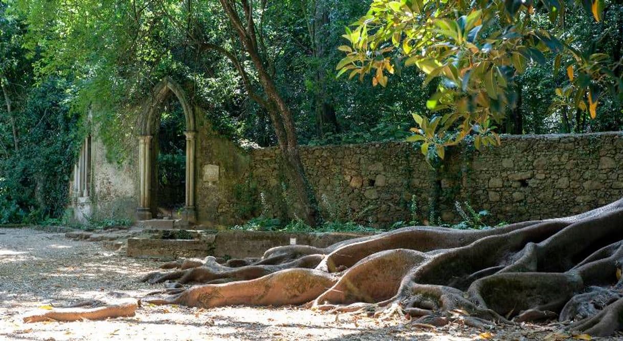 Lugar Jardins da Quinta das Lágrimas