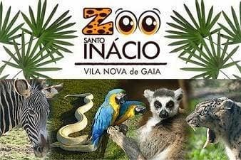 Moda Zoo Santo Inácio 