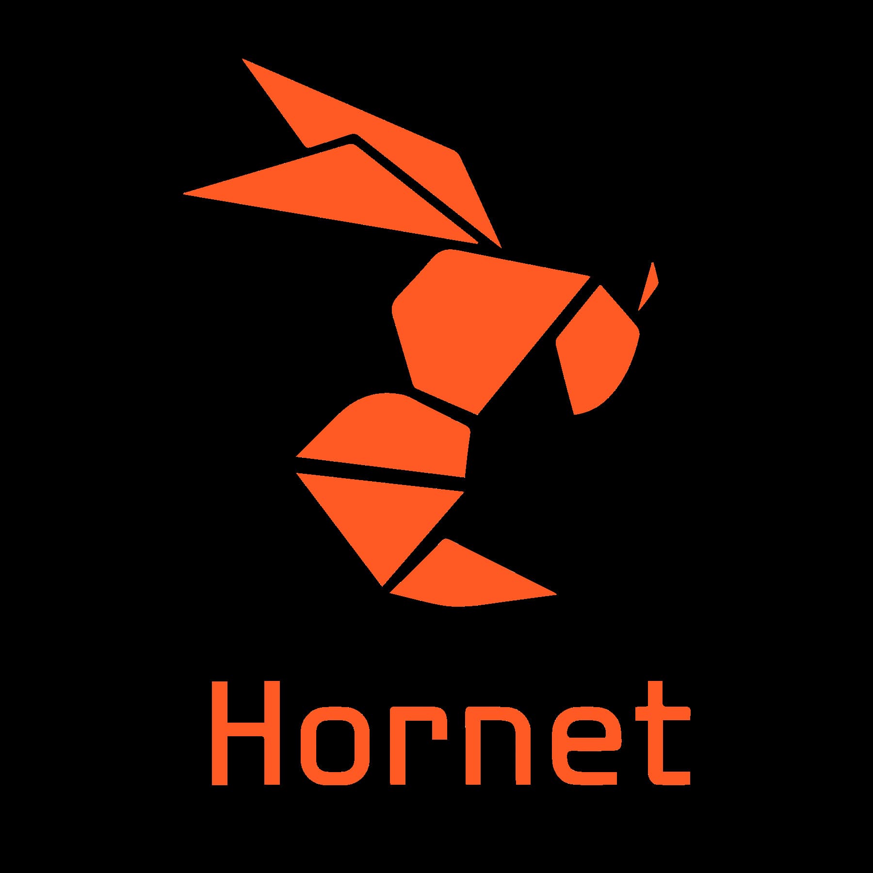 App Hornet - Red Social Gay