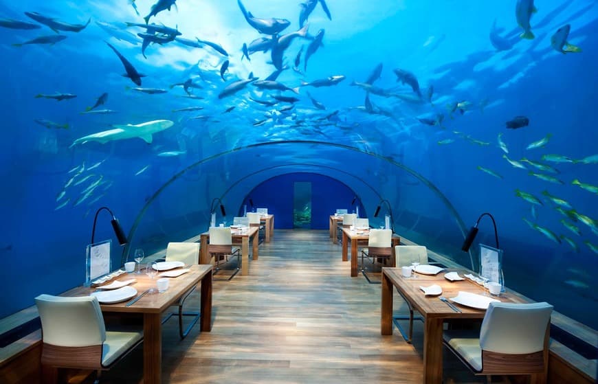 Restaurants Ithaa Undersea Restaurant