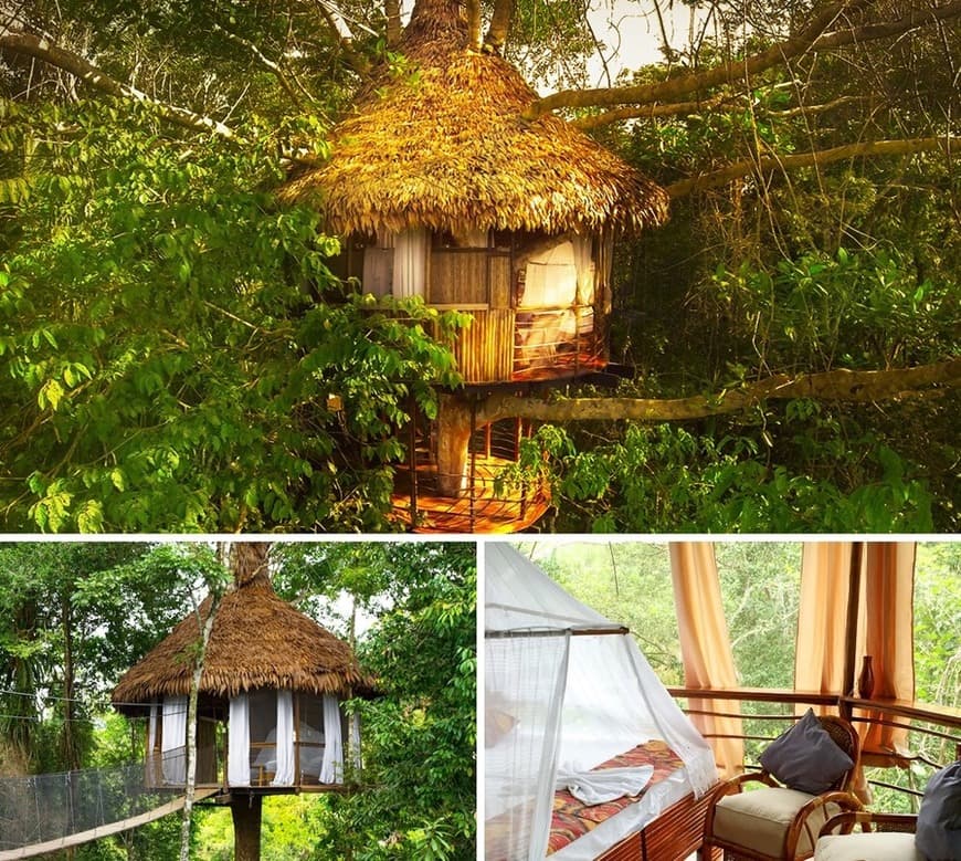 Lugar Treehouse Lodge